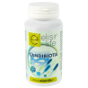 CANDIBIOTA