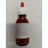 Naturali difese dell'organismo Echinacea Erboristeria Actis Sanremo