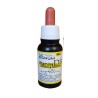 Vitamina D3 20 ml Sygnum