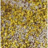 UOVO CRI CRI PISTACCHIO LATTE 40%