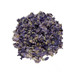 MALVA FIORI