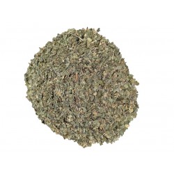 GELSO BIANCO FOGLIE