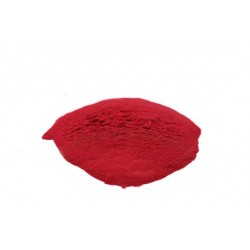 BARBABIETOLA ROSSA RADICE polvere