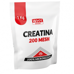 Creatina in polvere Whysport Erboristeria Actis Arma di Taggia Imperia