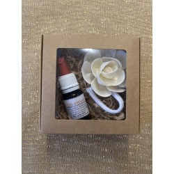 SET OLIO ESSENZIALE CON FIORE DIFFUSORE