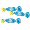 Bonbons balsamiques sans sucre leonsnella Leone Erboristeria Actis Sanremo