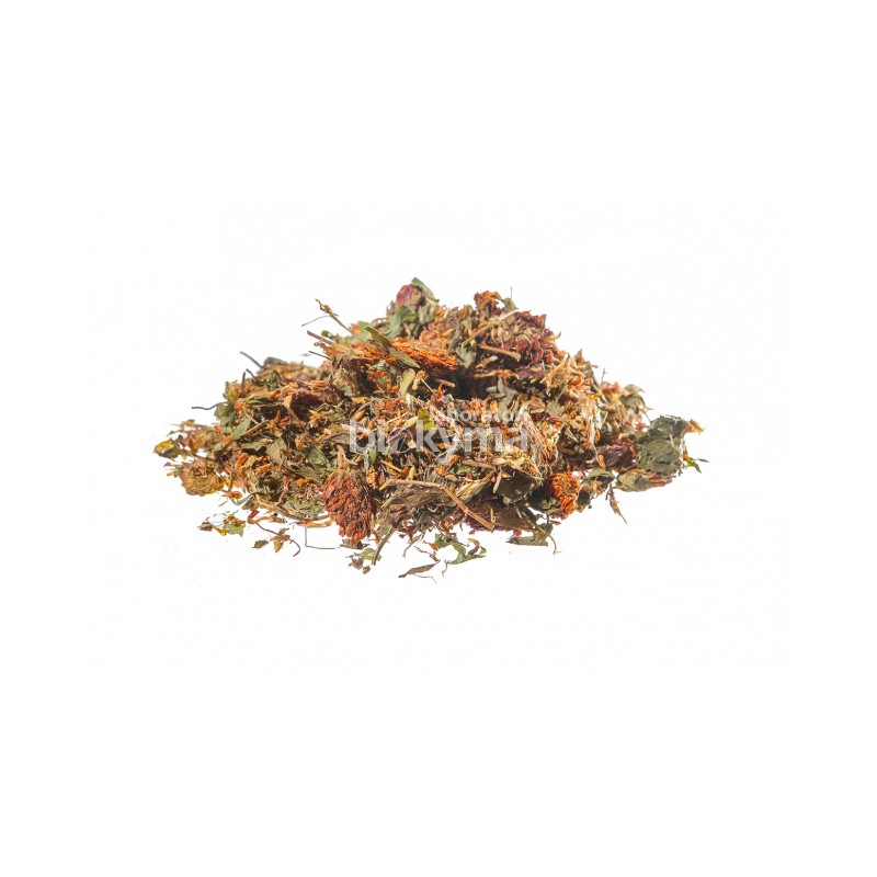 TRIFOGLIO ROSSO FIORI