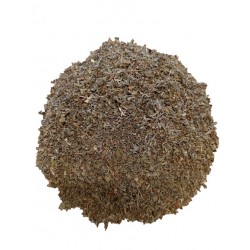 Basilico Santo - Erba Tulsi Erboristeria Actis