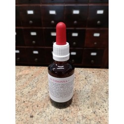 Actidonna + Erboristeria Actis Arma di Taggia