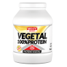 Vegetal Protein WhySport Erboristeria Actis
