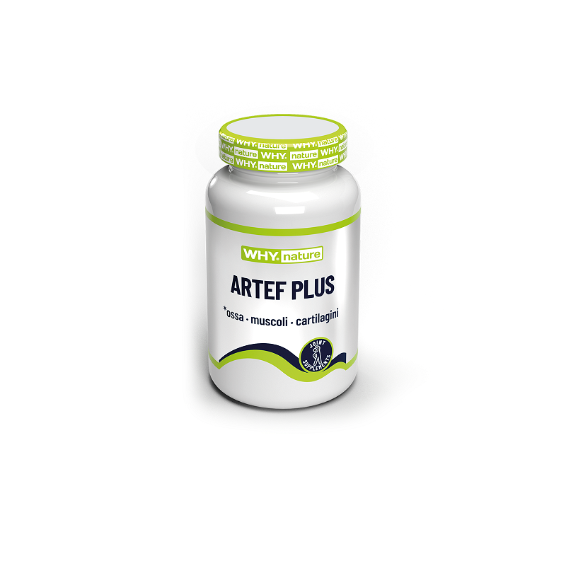 ARTEF PLUS 60 cpr