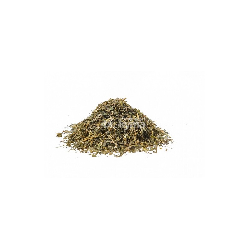 ERBA MEDICA
