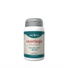 MORINGA