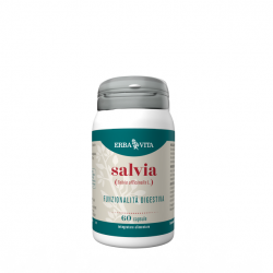 SALVIA