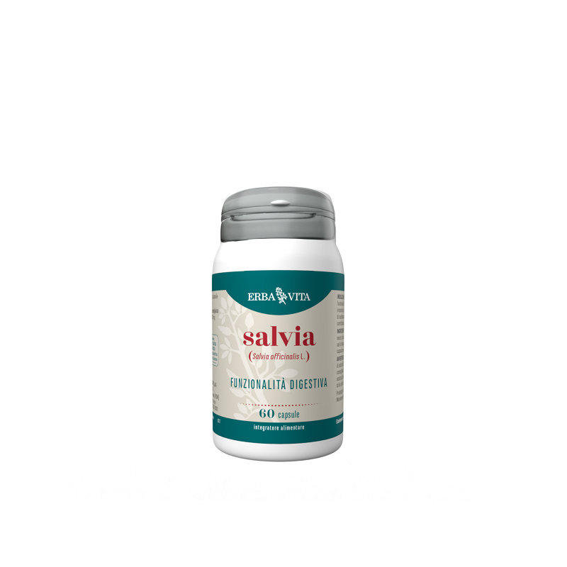 SALVIA